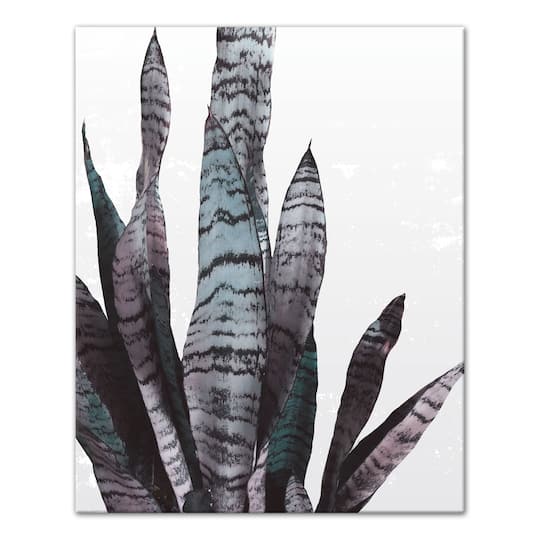 Snake Plant 16" x 20" Canvas Wall Art